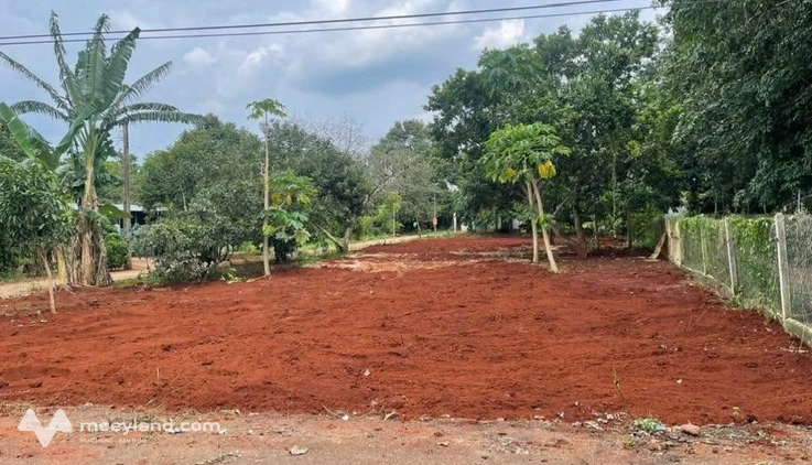 Nắm chủ cần bán 1000m2 đất cây lâu năm chưa có thổ cư, thuộc xã Long Phước