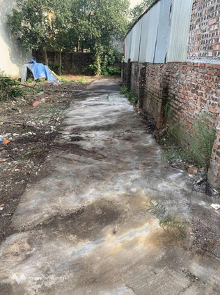 Chính chủ gửi bán lô đất 75m² – Ngay Chợ Cổ Miếu, Phật Tích
