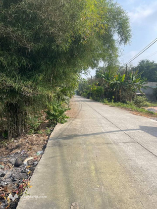 Đất mặt tiền đường bê tông Bùi Thị He, Trung Lập Thượng, Củ Chi