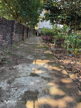 Chính chủ bán lô đất diện tích 48m² - Tích Giang
