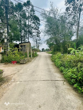 Sở hữu ngay lô đất F0 403m2 kiệt Tôn Thất Sơn, Thanh Thuỷ, Thành phố Huế