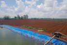 Cần bán 2,4 ha đất hẻm thuộc N, thôn Hạ Đức Trọng cũ, Lâm Đồng