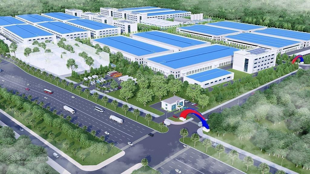 A chủ khu tân trường 5000 mét. tổng 112 ha chia nhỏ theo nhu cầu. huyện cẩm giàng,giá tốt nhất