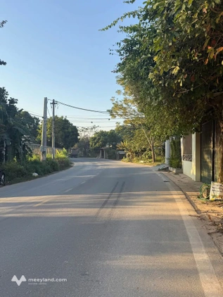Bán đất khu 6 – Tân Phương - Giá tốt - 100m² – full thổ cư, đất đẹp, xây dựng ngay