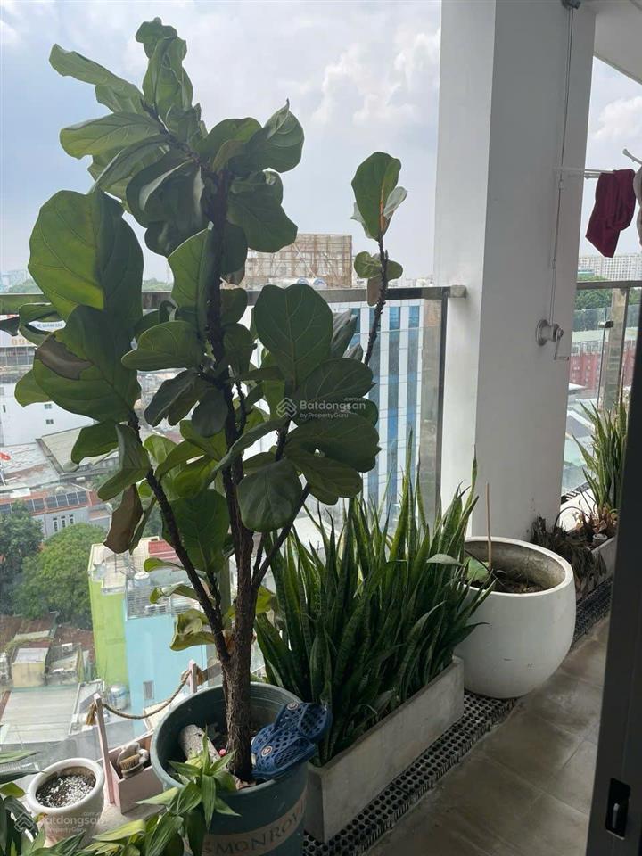 Gia đình cần đi mỹ nên bán gấp, chung cư kingston, dt 78.5m², 2pn, 2wc, full nt, giá đúng 7,9 tỷ