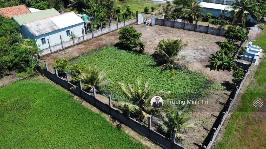 Đất lúa 1000m2 hẻm xe hơi, cách đt826 chỉ 200m giá tốt