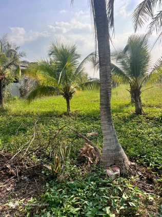 Lô đất cách Khu công nghiệp Phú Thuận không quá 50m - Đất xây nhà trọ cho công nhân thuê