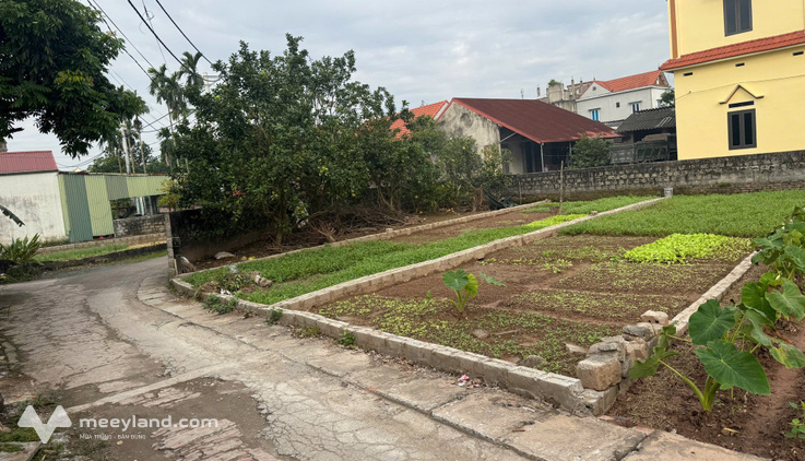 Chính chủ cần bán gấp lô đất trục chính Quang Lãng - Phú Xuyên