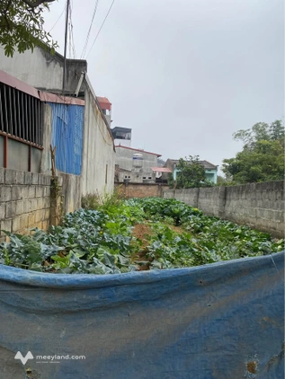 Cần bán hơn 90m2 đất trồng cây hàng năm, mặt đường Tát Là, cách ngã tư đèn đỏ, Bến xe phía Bắc 20m