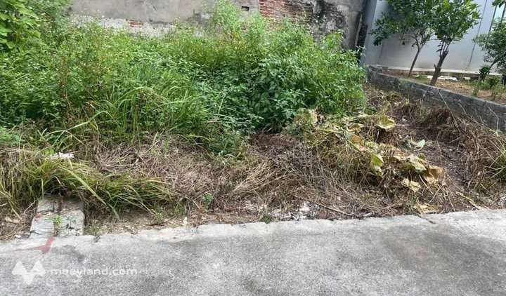 Bán đất Phú Cốc, Hà Hồi, Thường Tín - Ô tô vào tận nhà - Diện tích 46,9m2