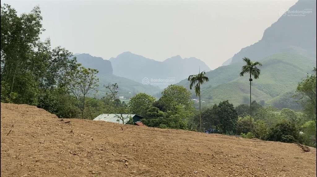 Tổng diện tích 2009m2 đất ở 234,5m2 xã kim lập, kim bôi, hòa bình