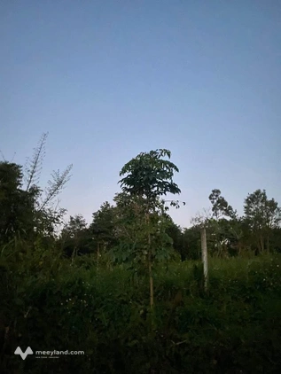 Bán lô đất Ea Drơng - Khu công nghiệp Phú Xuân - Huyện Cưmgar - Đak Lak