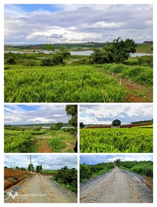 Đất view hồ Đại Ninh, xã Tà Hine, Đức Trọng, Lâm Đồng