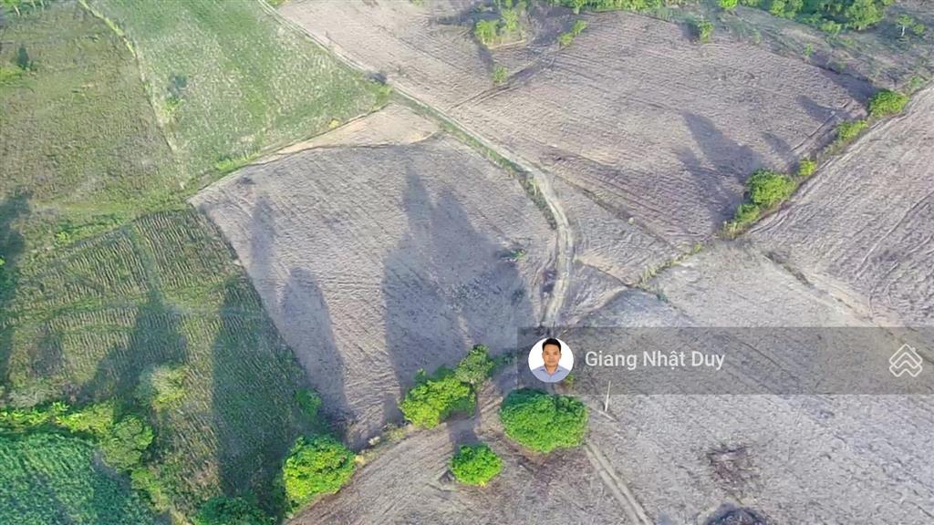 Bán 7 sào đất trồng mía tại ea kar, đắk lắk