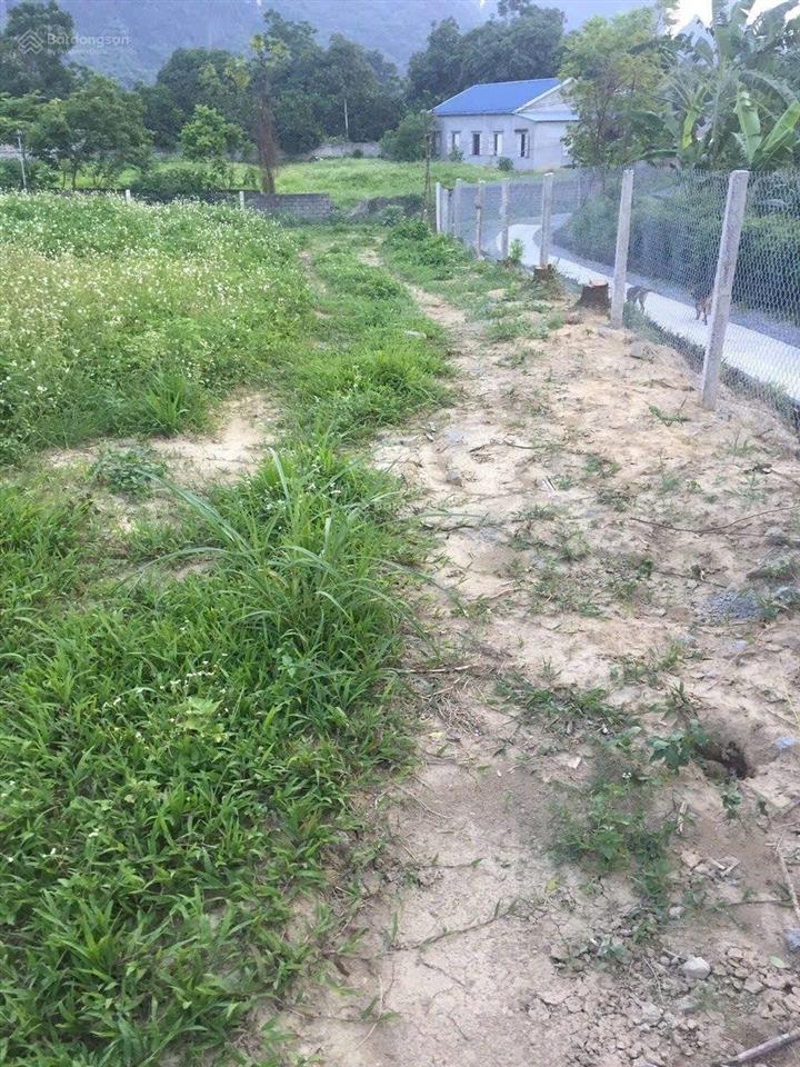 Bán đất nhà vườn nghỉ dưỡng giá rẻ tại xã liên sơn, phú thọ