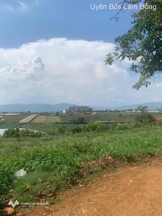 Đất view vườn cây, sổ riêng, giá hời - Đơn Dương, Lâm Đồng