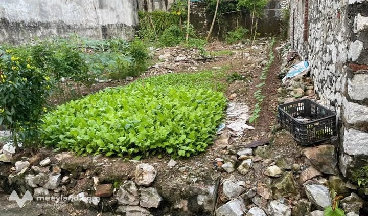 Bán đất 85m² mặt tiền 5m tại Phủ Lý, Hà Nam, giá chỉ 1 tỷ