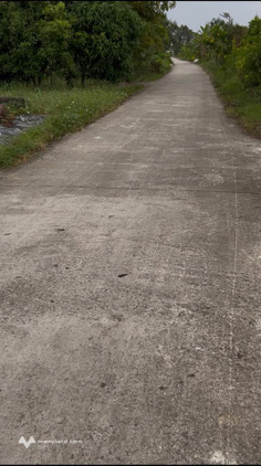 Bán 4736m2 đất lúa thuộc Lý Văn Lâm, Cà Mau, cách Công ty Minh Phú, Phường 8, Cà Mau 3km