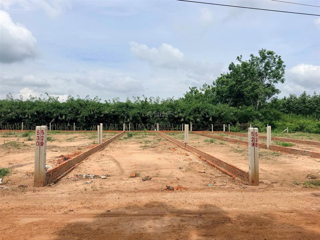 Bán đất thổ cư truông mít tây ninh 5x29m (145m²) giá 368 triệu, full thổ cư 0986 861 ***
