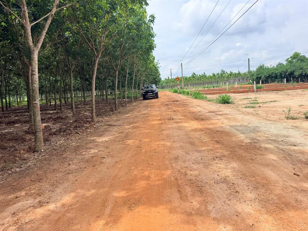 Bán đất thổ cư 5x29m tại truông mít, dương minh châu, tây ninh giá chỉ 368 triệu