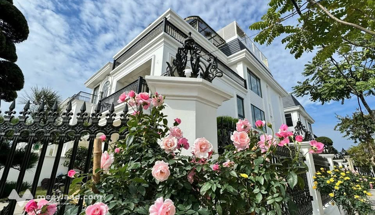 Biệt thự song lập HUD Mê Linh – Vị trí đẹp – Giá tốt