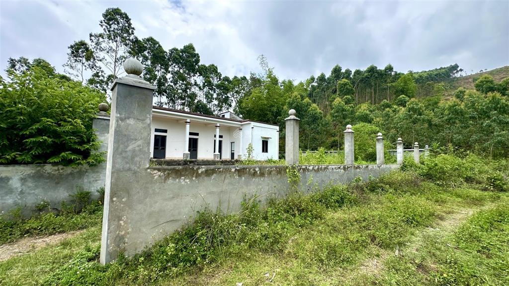 Cần bán 961,7m² đất có nhà ở luôn tại thôn đồng pheo xã yên dương huyện tam đảo vĩnh phúc