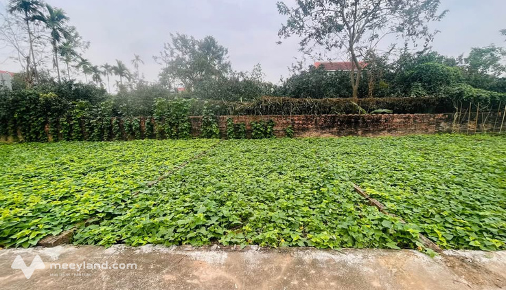 Nhà Vân Nam, Phúc Thọ - Gía 1 tỷ, gần trường, tiện đi lại