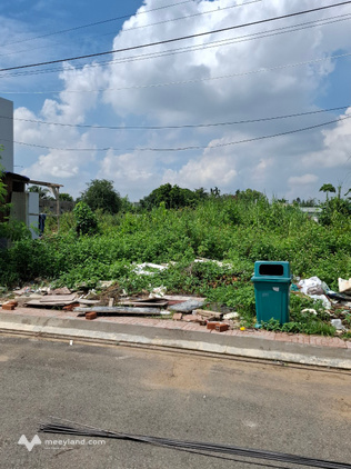 Bán đất hẻm ô tô đường 16 Long Bình, quận 9, giá 4,2 tỷ