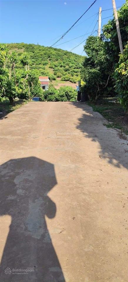 Bán đất lục ngạn bắc giang, dt 637m x mặt tiền 10.5m, 800 triệu đồng