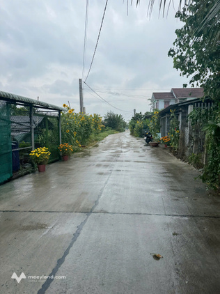 Bán đất thổ 5m x 40m mặt tiền Nguyễn Văn Vịnh 6m, gần 2 cụm khu công nghiệp thuộc xã Tân Trụ, tỉnh Tây Ninh