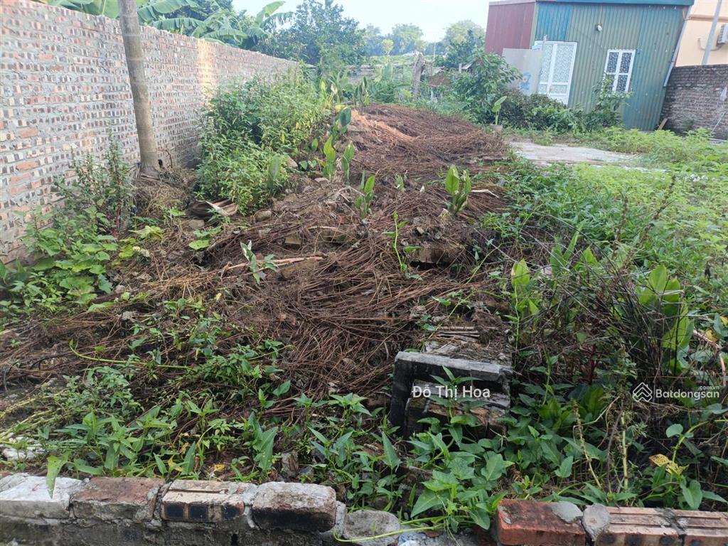 Bán đất thuận an gia lâm dt 75m² vài bước ra ô tô ngõ nông gần chợ dân sinh giá hơn 3 tỷ