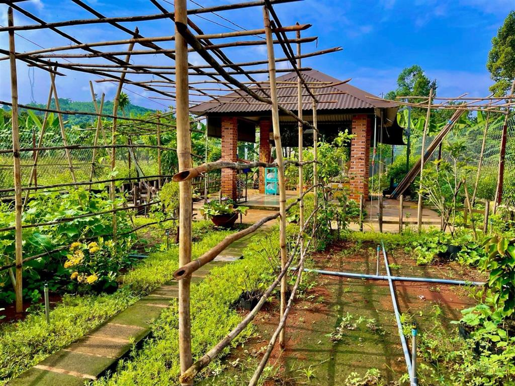 Bán đất tại xã la ngà, đồng nai, 645 triệu, 1184m2, ngay điểm xuống cao tốc hồ chí minh tân phú