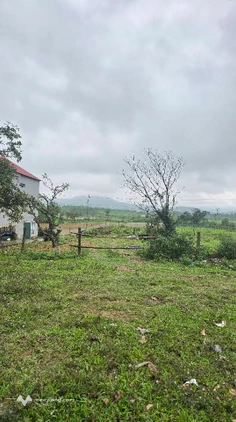 Bán đất kinh doanh làm kho, xưởng tại Kỳ Anh
