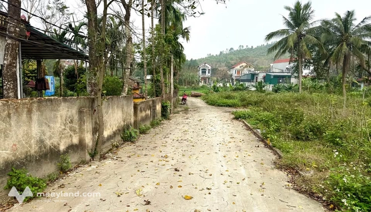 Chỉ 700 triệu – Sở hữu ngay lô đất 200m2 vuông đẹp tại thôn Tràng Dầu, Đồng Tĩnh, Tam Dương