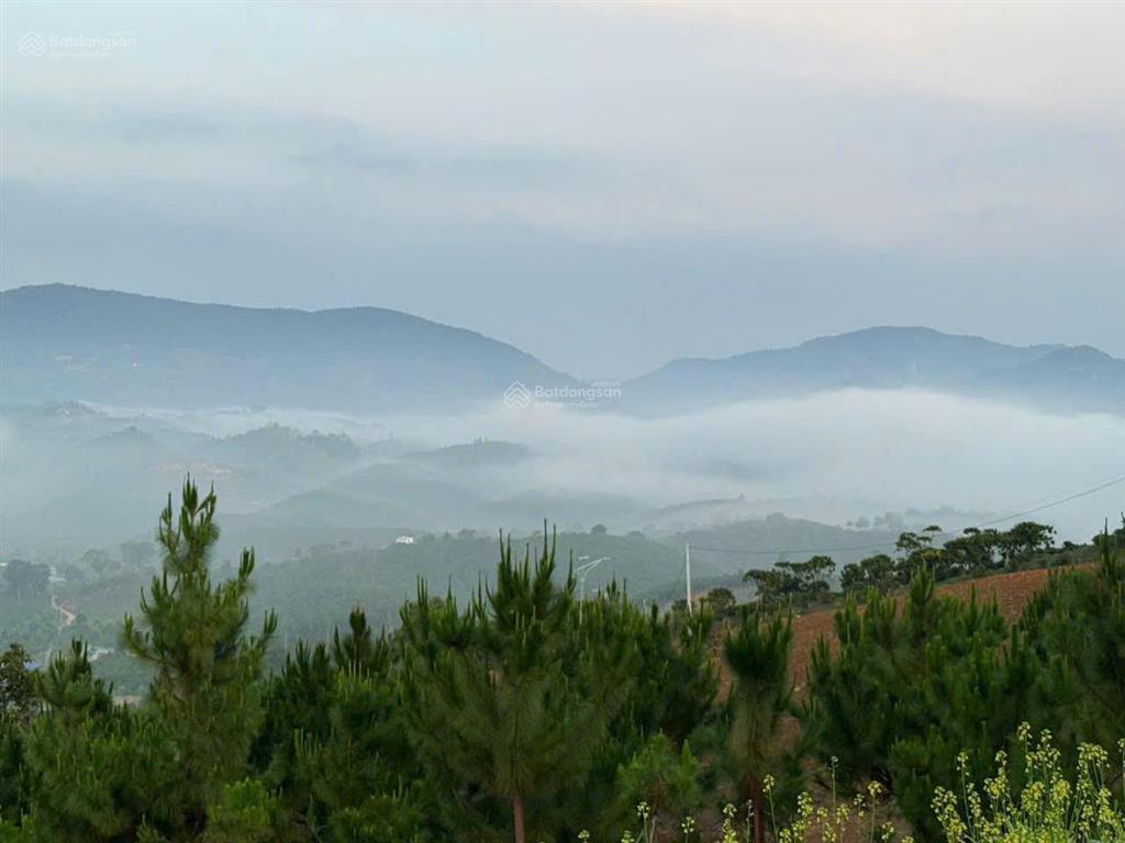 Bán 1.000m² đất nhà vườn sổ riêng tại lộc thành, bảo lộc không gian riêng tư giữa thiên nhiên