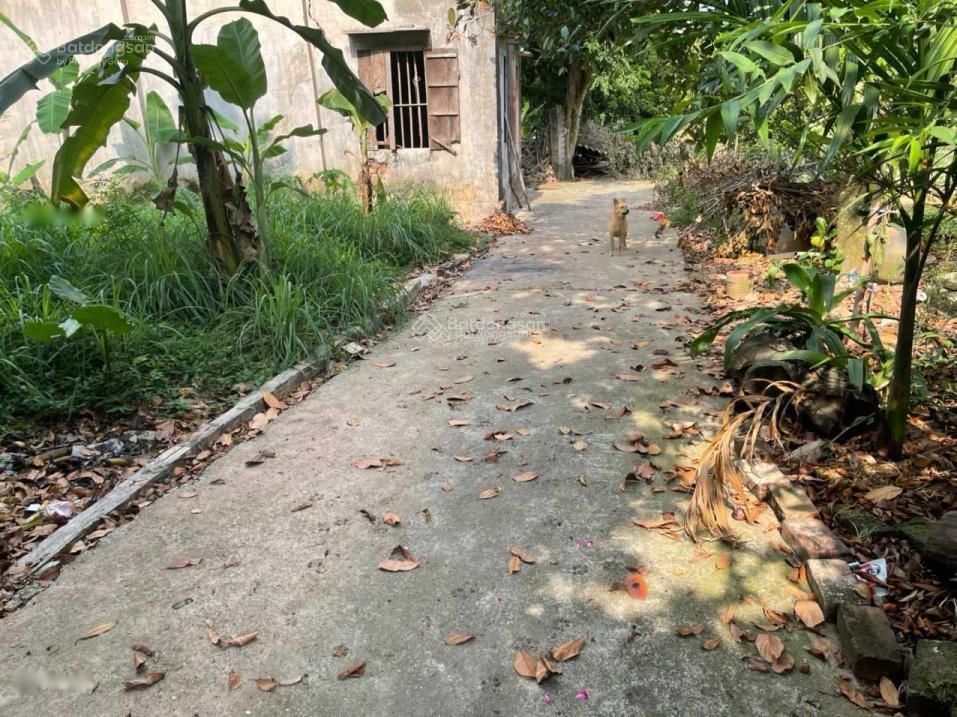 Đất ven làng, trong đê, qui hoạch 2065 rất đẹp, làm nhà vườn tuyệt đẹp, ngay hồ hoàn kiếm.