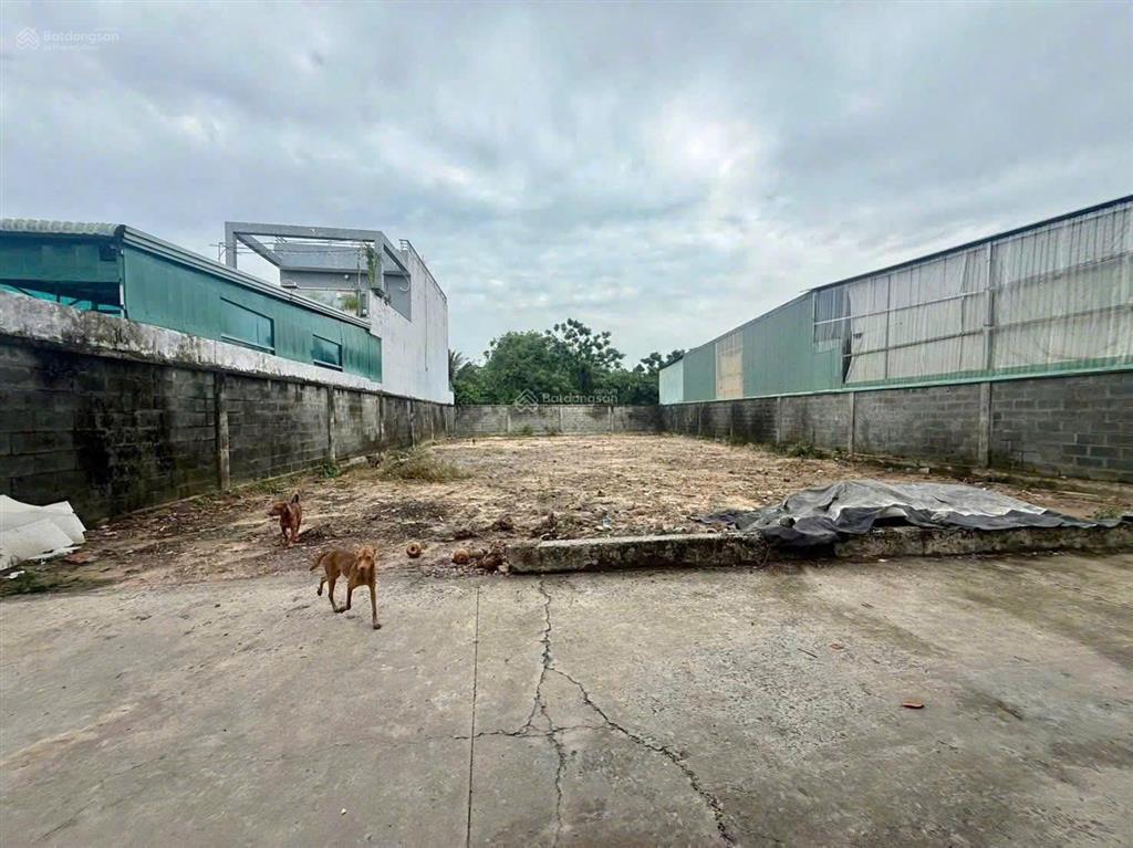 Bán lô đất thổ cư 5x30m, tân hiệp hóc môn giá 3.5 tỷ tl