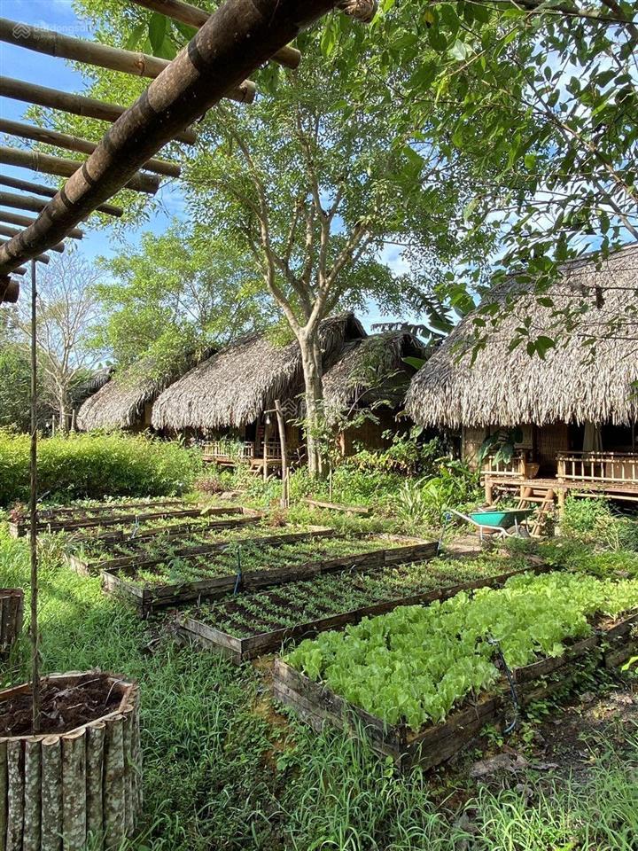 Bán không gian sống xanh trong lành 744 triệu cho 1424m2, gần sông la ngà và hồ trị an