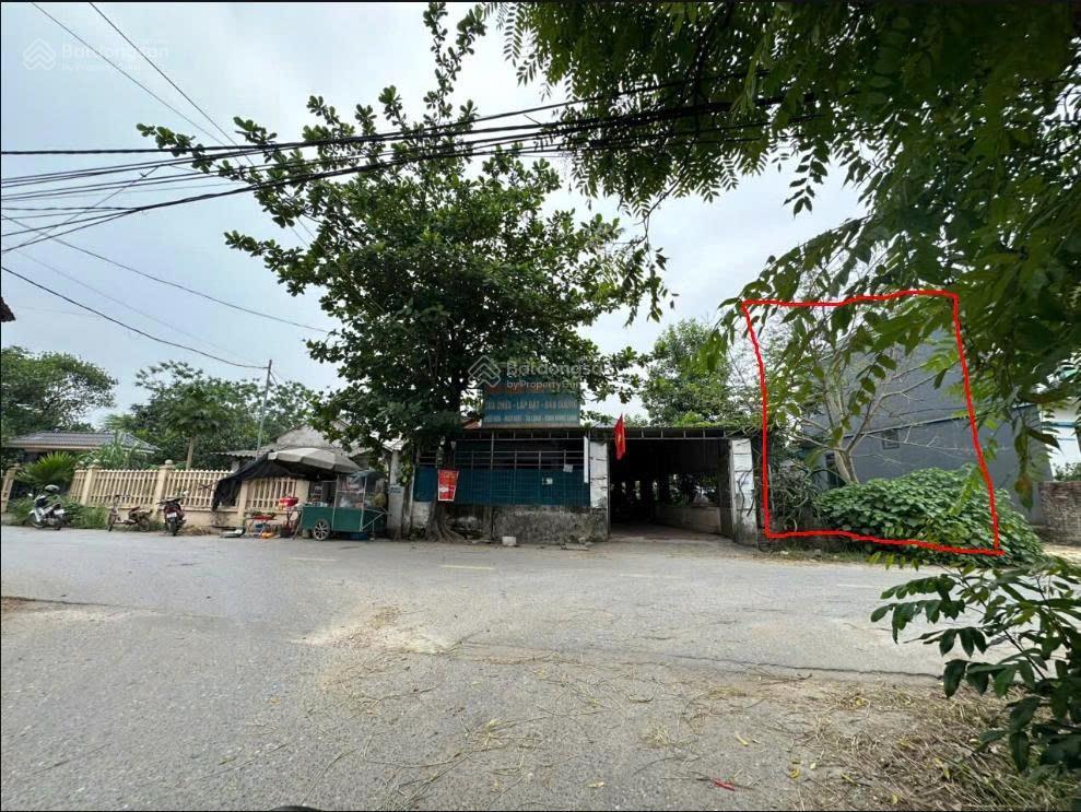 Bán đất hướng đạo tam dương phú thọ (vĩnh phúc cũ)