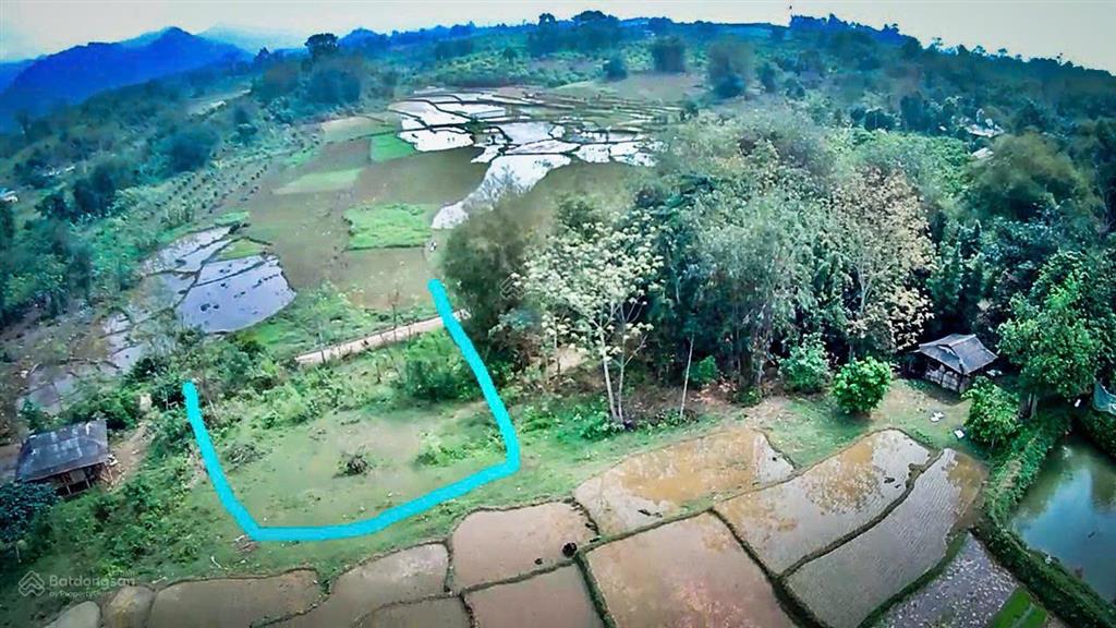 Chính chủ cần chuyển nhượng thửa đất đẹp tại phú vinh tân lạc hòa bình (nay là phú thọ)