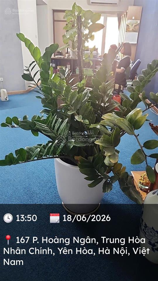 Em phương cần chuyển đổi bán căn góc 3n3vs tòa 34t hoàng đạo thúy, giá tốt 11 tỷ. 0988 982 ***