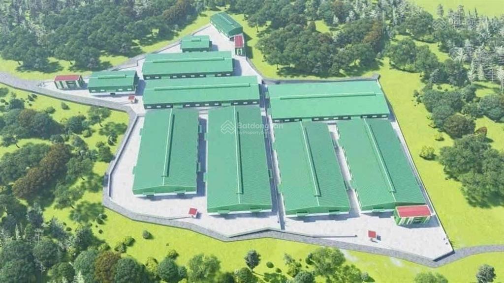 Cần chuyển nhượng nhà xưởng đang hoạt động tại bình dương