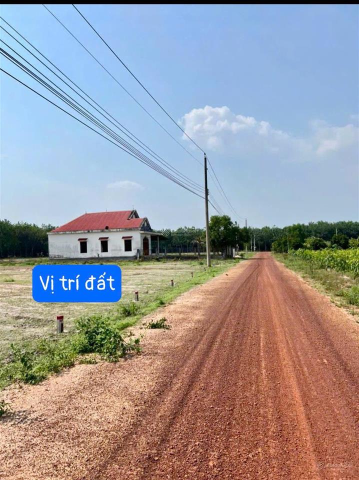 Đất thổ cư long hòa tphcm (bình dương cũ) | 206m² có sẵn 100m² thổ cư | chỉ 299 triệu