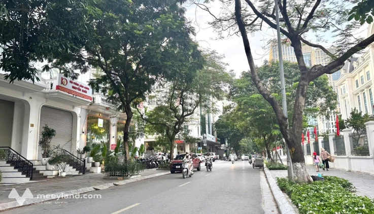 Tòa nhà lô góc mặt phố Dịch Vọng Hậu, 8 tầng thang máy, mặt tiền 44m, dòng tiền 2.1 tỷ/năm