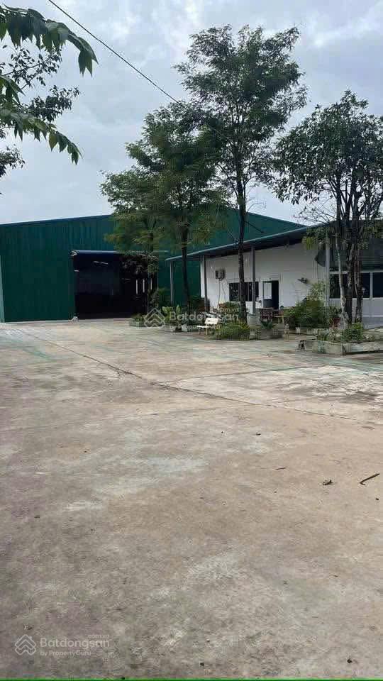 Bán nhà xưởng trừ văn thố, bàu bàng, bình dương (tp.hcm) diện tích 13.656m² 0978 627 ***