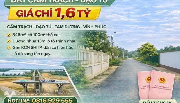 Mảnh đất vàng Cẩm Trạch, Vĩnh Phúc 346m2 chỉ 1.6 tỷ - Cơ hội đầu tư sinh lời