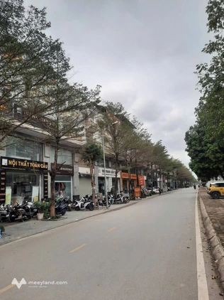 Bán biệt thự Geleximco Lê Trọng Tấn, 340m2, 4 tầng, mặt 13,5m