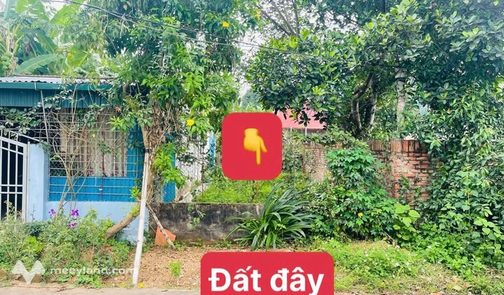 Bán 129m2 full thổ - Khu Thùng Trong, Hợp Hải, Lâm Thao