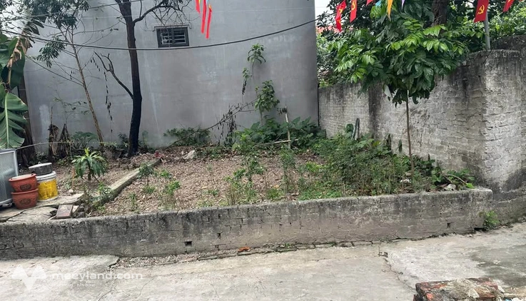 Bán đất vuông vắn 41m², mặt tiền 5m, gần Trục Kinh Tế 247, Tam Hưng, Thanh Oai