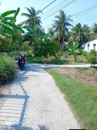 Bán đất thổ cư 100% Bình Phú, Bến Tre, 129.9m2, đường ô tô, giá chỉ 490 triệu